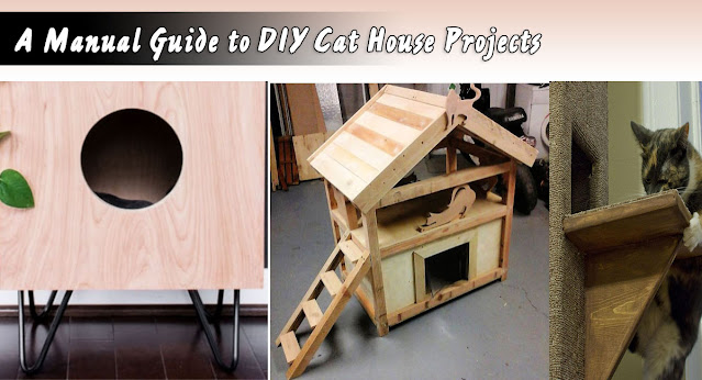 A manual guide to DIY Cat house tasks